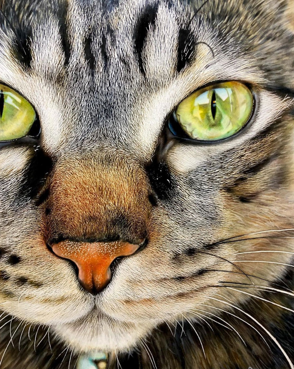 23 Desenhos Hiperrealistas De Gatos Que Parecem Fotografia